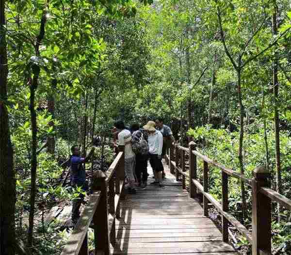 Tanjung Piai in Johor Bahru Malaysia