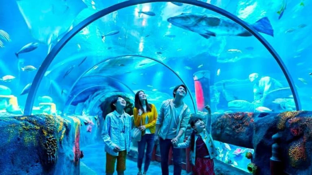 Travel Guide to Legoland Malaysia Johor Bahru Legoland Sea Life